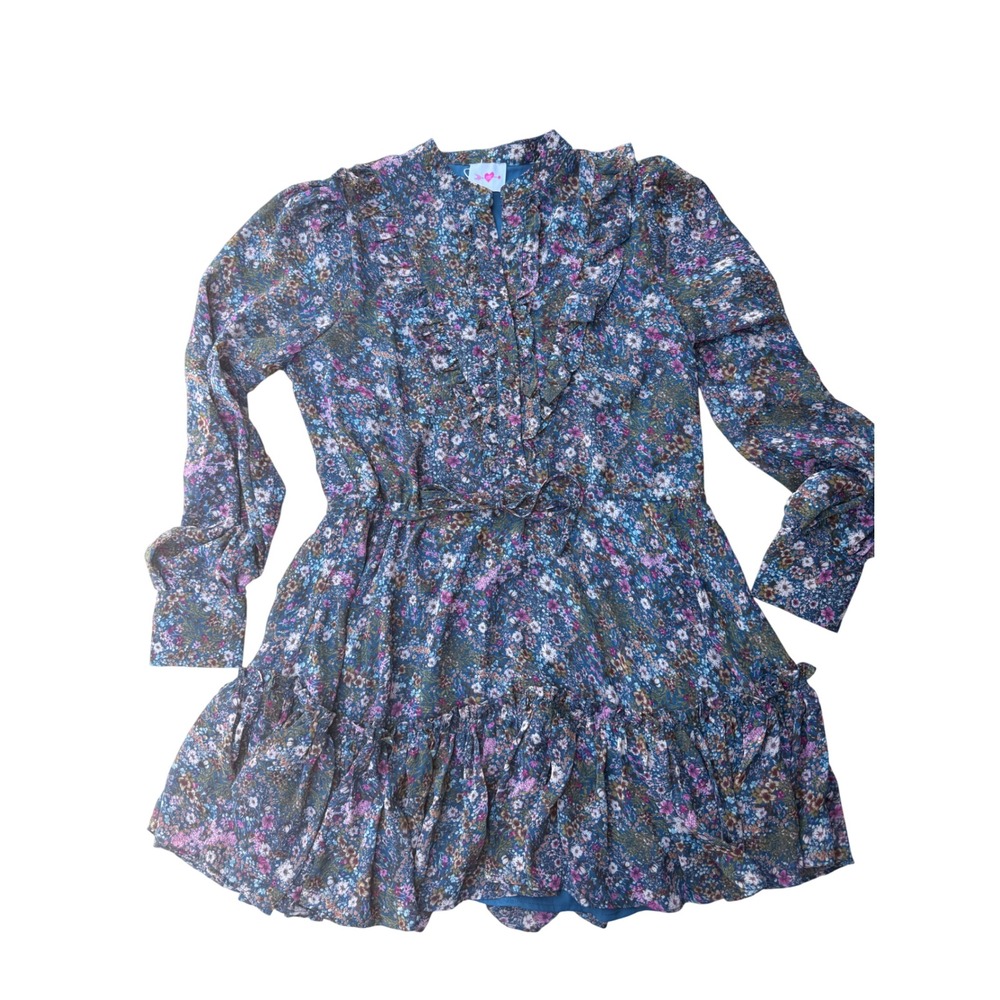 Buddy Love Blue Floral Ruffle Tiered Long Sleeve Mini Dress Medium